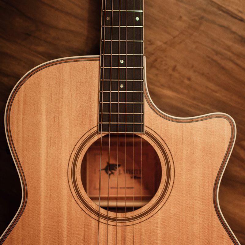 Cordes de Guitares Acoustiques