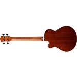 BASS ACOUSTIQUE NATUREL AVEC PICKUP ET GIG BAG WASHBURN