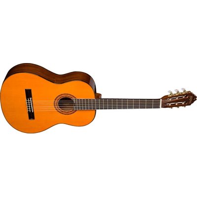GUIT CLASS. WASHBURN