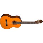 GUIT CLASS. WASHBURN