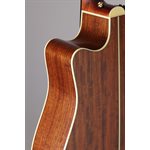 TAKAMINE SÉRIES PRO 3 NEX 
