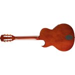 GUIT CLASS. FLORENTINE A / PICKUP WASHBURN