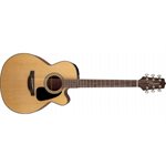 TAKAMINE GUITARE ACOUSTIQUE G10 SÉRIE NEX