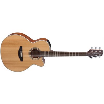TAKAMINE GUITARE ACOUSTIQUE G20 SÉRIES 