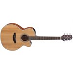 TAKAMINE GUITARE ACOUSTIQUE G20 SÉRIES 