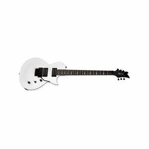 ASSAULT 220 FLOYD ROSE KRAMER 