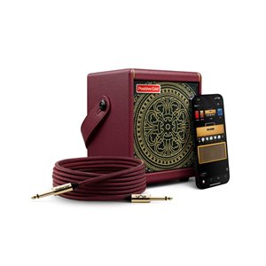 AMPLIFICATEUR DE GUITARE ÉLEC. 10W ÉD. SP. STEVE VAI A / CÂBLE POSITIVE GRID